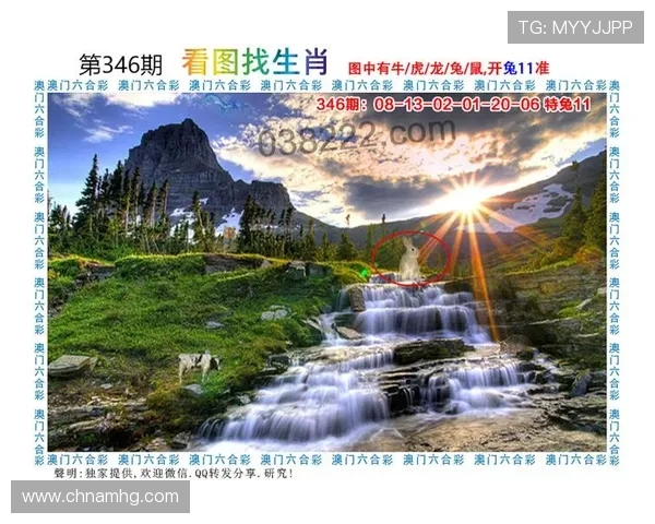 澳门财神网娱乐app官方平台介绍，丰富多样的游戏玩法满足不同玩家需求